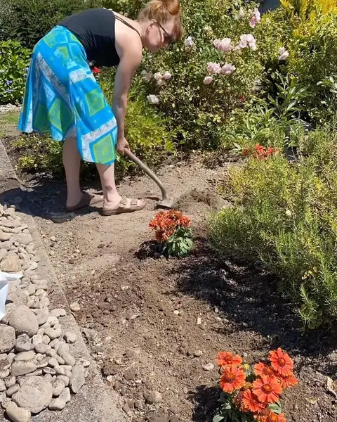 Green beans Bob's Red Mill reel